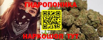 сатива Шахты